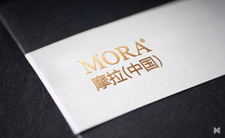 大诚设计 摩拉医疗品牌形象设计